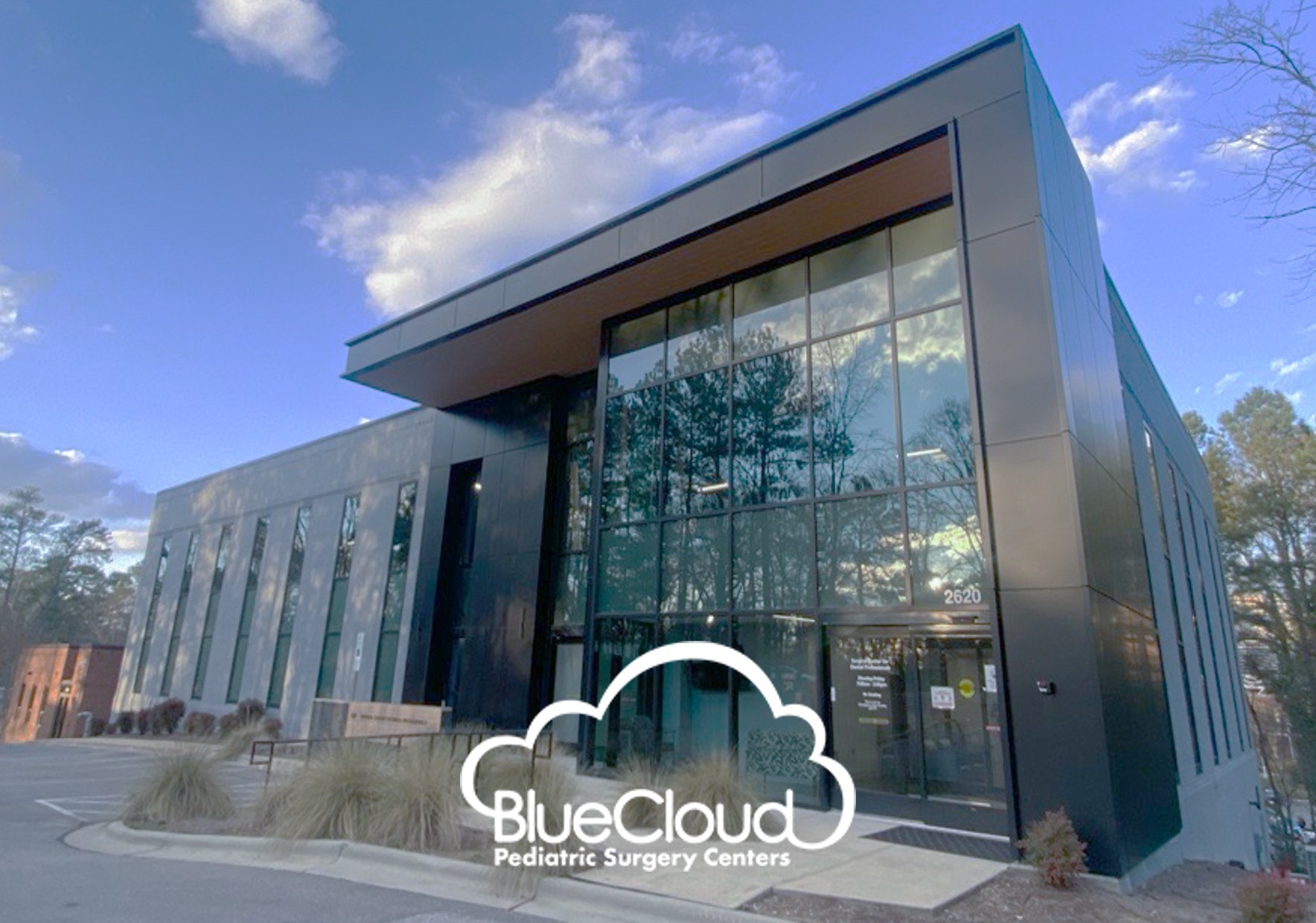 Great Hill Partners Announces Growth Investment in Blue Cloud Pediatric ...